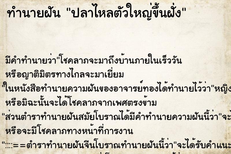 ทำนายฝันปลาไหลตัวใหญ่ขึ้นฝั่ง ทำนายฝันทำนายฝันปลาไหลตัวใหญ่ขึ้นฝั่ง