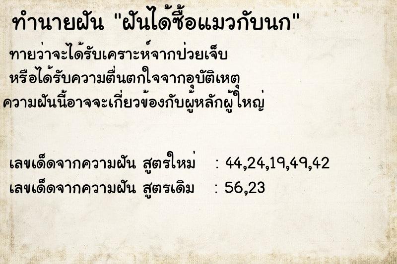 ทำนายฝันฝันได้ซื้อแมวกับนก ทำนายฝันทำนายฝันฝันได้ซื้อแมวกับนก