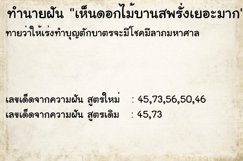 ทำนายฝันทำนายฝันเห็นดอกไม้บานสพรั่งเยอะมาก