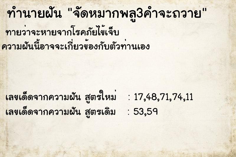 ทำนายฝันจัดหมากพลู3คำจะถวาย ทำนายฝันทำนายฝันจัดหมากพลู3คำจะถวาย