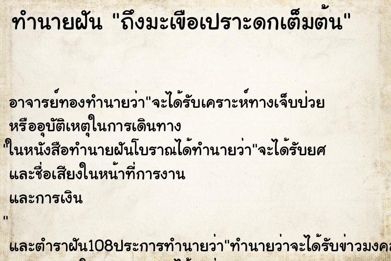 ทำนายฝันทำนายฝันถึงมะเขือเปราะดกเต็มต้น