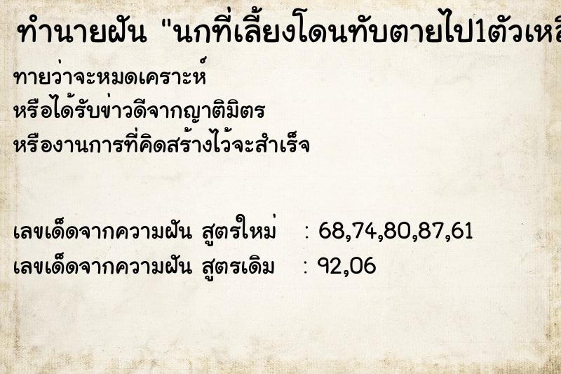 ทำนายฝันทำนายฝันนกที่เลี้ยงโดนทับตายไป1ตัวเหลือ1ตัว