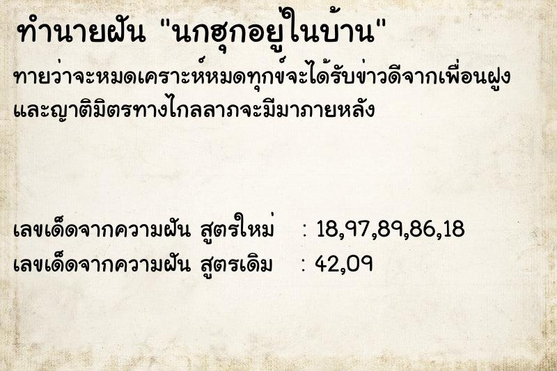 ทำนายฝันนกฮุกอยู่ในบ้าน ทำนายฝันทำนายฝันนกฮุกอยู่ในบ้าน