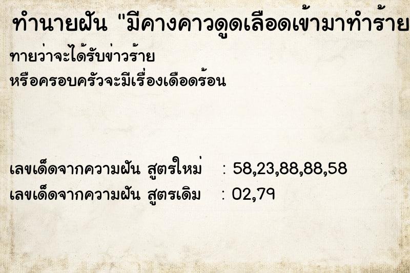 ทำนายฝันมีคางคาวดูดเลือดเข้ามาทำร้าย ทำนายฝันทำนายฝันมีคางคาวดูดเลือดเข้ามาทำร้าย