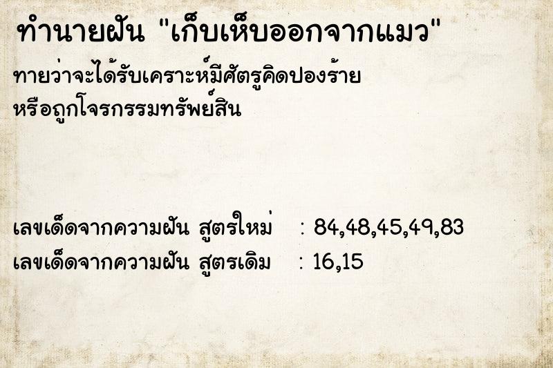 ทำนายฝันเก็บเห็บออกจากแมว ทำนายฝันทำนายฝันเก็บเห็บออกจากแมว
