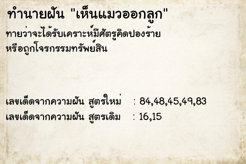 ทำนายฝัน เห็นแมวออกลูก ทำนายฝัน เห็นแมวออกลูก