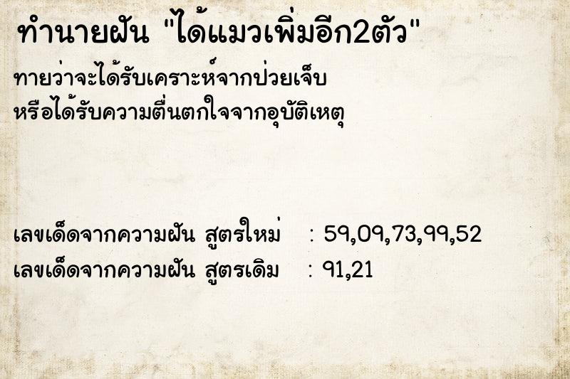 ทำนายฝันทำนายฝันได้แมวเพิ่มอีก2ตัว