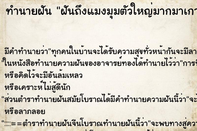 ทำนายฝันทำนายฝันฝันถึงแมงมุมตัวใหญ่มากมาเกาะขา