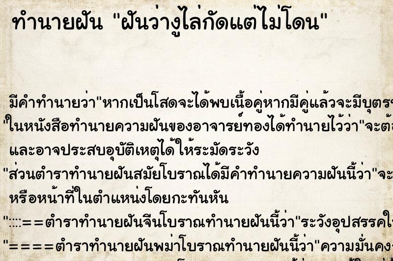 ทำนายฝัน ฝันว่างูไล่กัดแต่ไม่โดน ทำนายฝัน ฝันว่างูไล่กัดแต่ไม่โดน