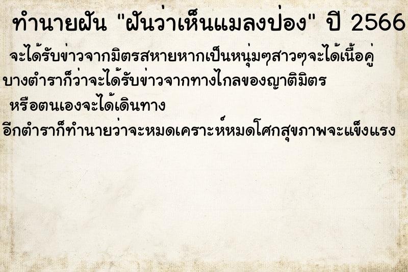 ทำนายฝันฝันว่าเห็นแมลงป่อง ทำนายฝันทำนายฝันฝันว่าเห็นแมลงป่อง