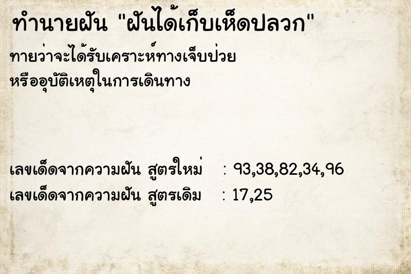 ทำนายฝันฝันได้เก็บเห็ดปลวก ทำนายฝันทำนายฝันฝันได้เก็บเห็ดปลวก
