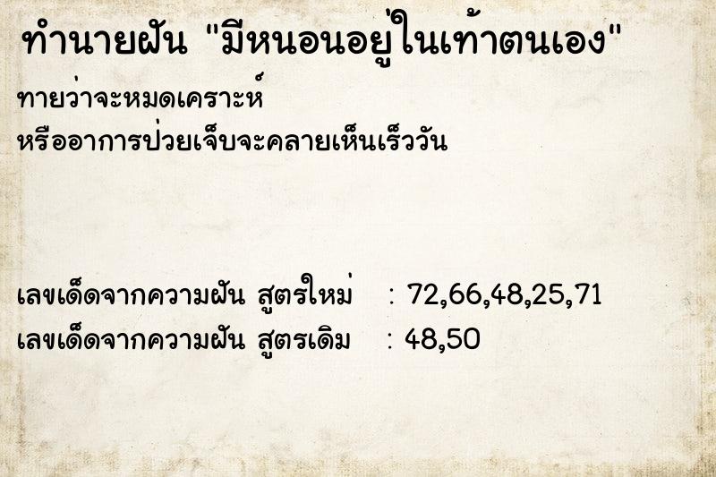 ทำนายฝันมีหนอนอยู่ในเท้าตนเอง ทำนายฝันทำนายฝันมีหนอนอยู่ในเท้าตนเอง
