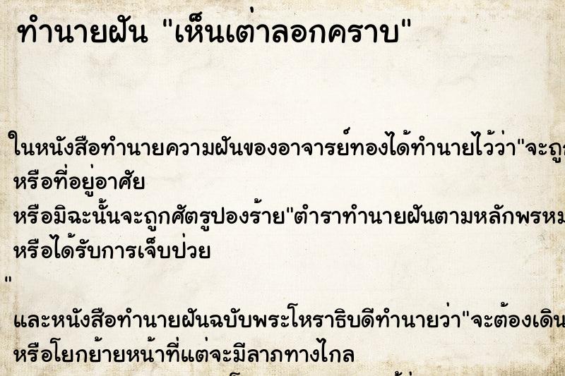 ทำนายฝันทำนายฝันเห็นเต่าลอกคราบ