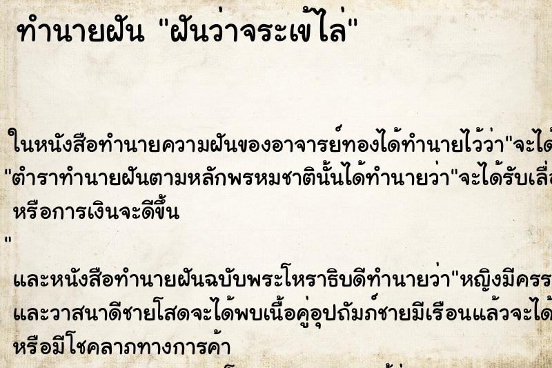 ทำนายฝันฝันว่าจระเข้ไล่ ทำนายฝันทำนายฝันฝันว่าจระเข้ไล่