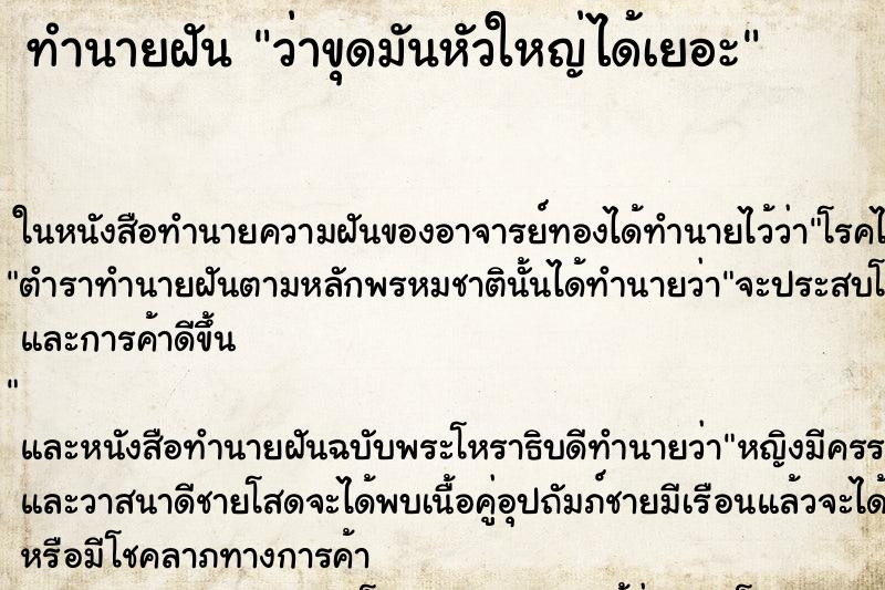 ทำนายฝัน ว่าขุดมันหัวใหญ่ได้เยอะ ทำนายฝัน ว่าขุดมันหัวใหญ่ได้เยอะ