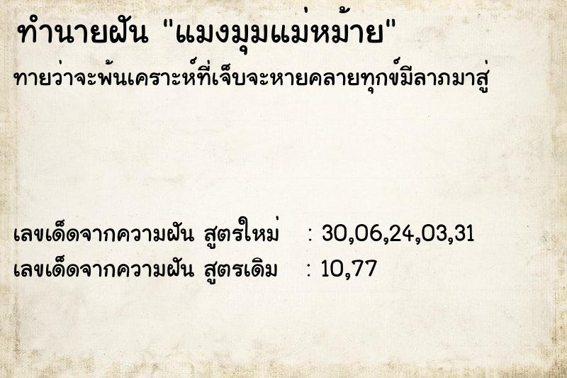 ทำนายฝันทำนายฝันแมงมุมแม่หม้าย