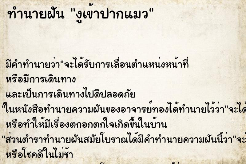 ทำนายฝัน งูเข้าปากแมว ทำนายฝัน งูเข้าปากแมว