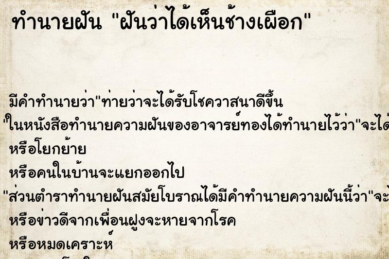 ทำนายฝัน ฝันว่าได้เห็นช้างเผือก ทำนายฝัน ฝันว่าได้เห็นช้างเผือก