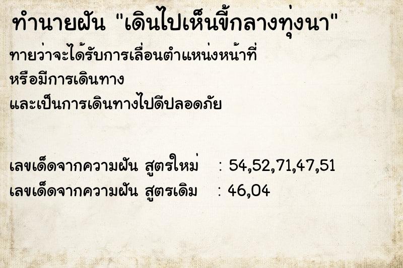 ทำนายฝัน เดินไปเห็นขี้กลางทุ่งนา ทำนายฝัน เดินไปเห็นขี้กลางทุ่งนา