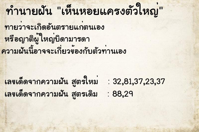ทำนายฝันทำนายฝันเห็นหอยแครงตัวใหญ่