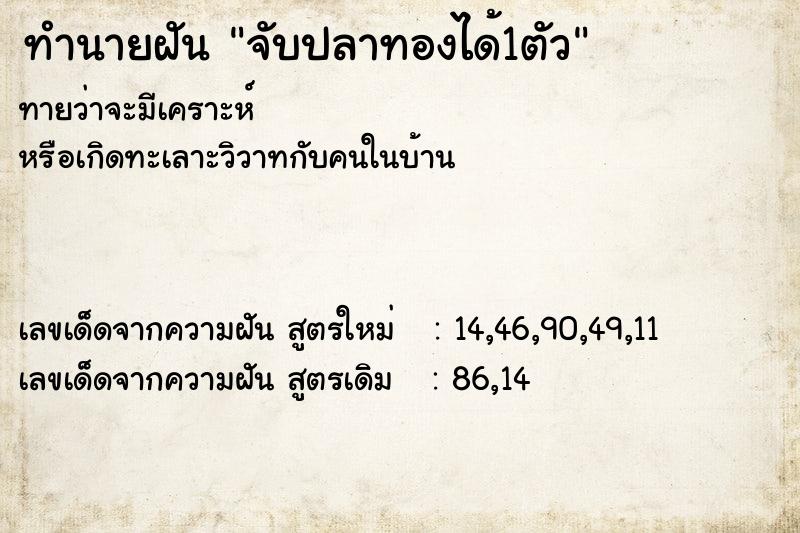 ทำนายฝันทำนายฝันจับปลาทองได้1ตัว