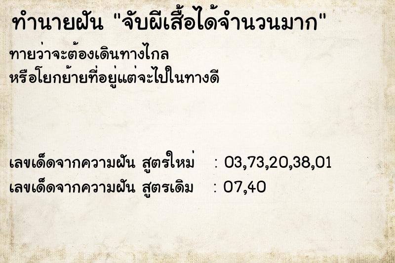 ทำนายฝันทำนายฝันจับผีเสื้อได้จำนวนมาก