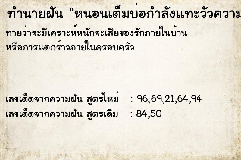 ทำนายฝัน หนอนเต็มบ่อกำลังแทะวัวความ ทำนายฝัน หนอนเต็มบ่อกำลังแทะวัวความ