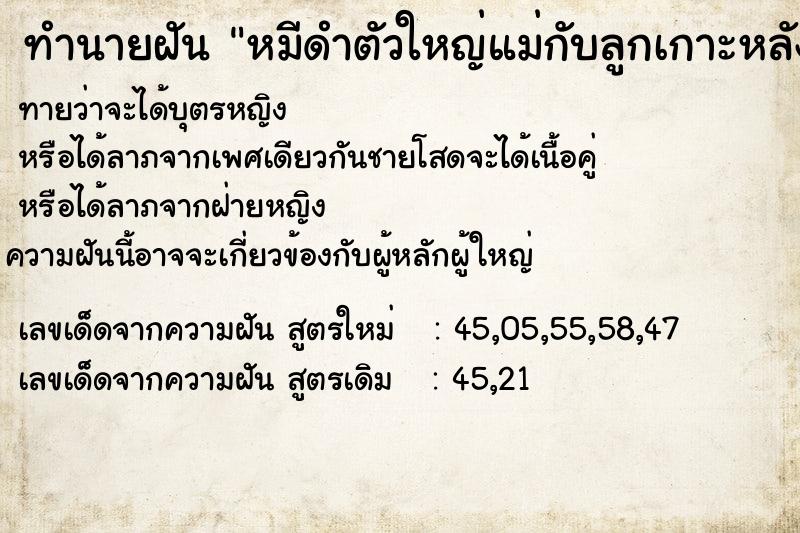 ทำนายฝัน หมีดำตัวใหญ่แม่กับลูกเกาะหลัง