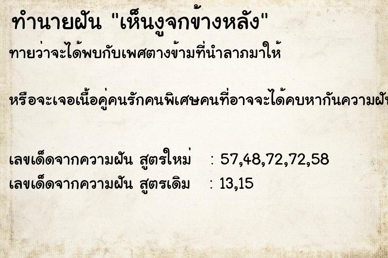 ทำนายฝันเห็นงูจกข้างหลัง ทำนายฝันทำนายฝันเห็นงูจกข้างหลัง