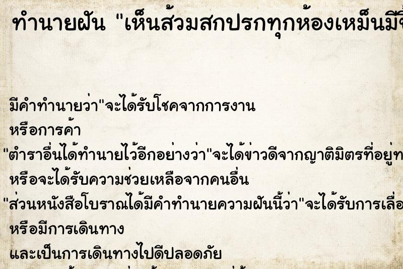 ทำนายฝัน เห็นส้วมสกปรกทุกห้องเหม็นมีขี้เต็มไปหมด ทำนายฝัน เห็นส้วมสกปรกทุกห้องเหม็นมีขี้เต็มไปหมด