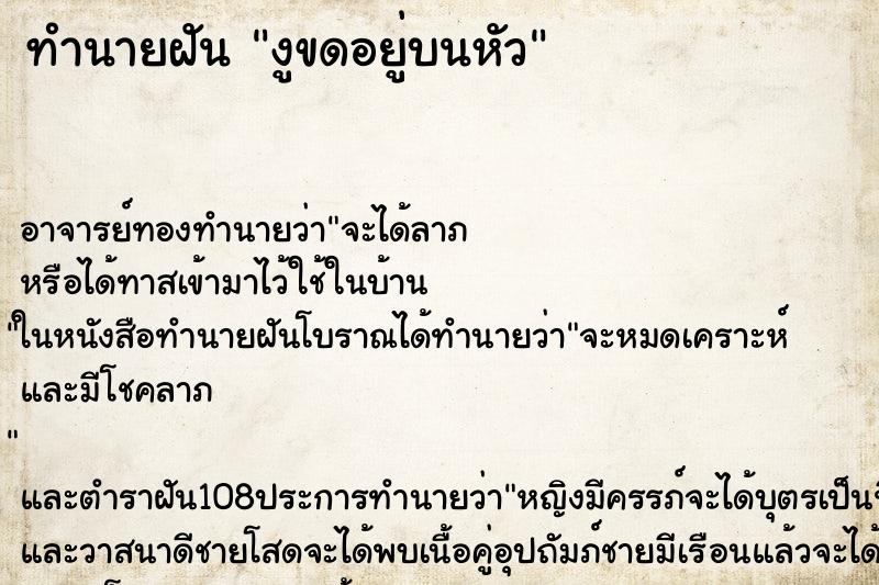 ทำนายฝัน งูขดอยู่บนหัว ตำราโบราณ แม่นที่สุดในโลก