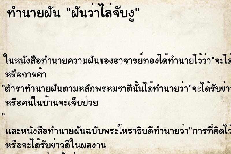ทำนายฝันทำนายฝันฝันว่าไล่จับงู