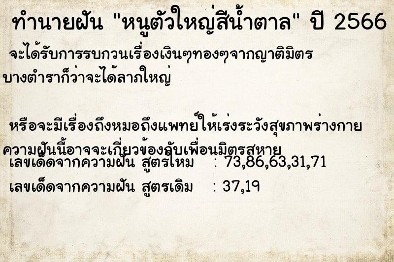 ทำนายฝันทำนายฝันหนูตัวใหญ่สีน้ำตาล