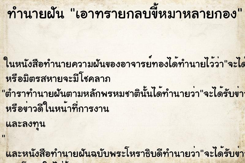 ทำนายฝันทำนายฝันเอาทรายกลบขี้หมาหลายกอง