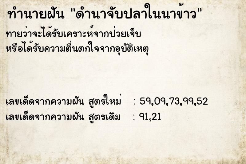 ทำนายฝันทำนายฝันดำนาจับปลาในนาข้าว