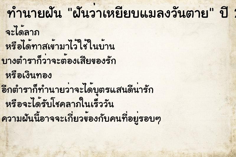 ทำนายฝันทำนายฝันฝันว่าเหยียบแมลงวันตาย