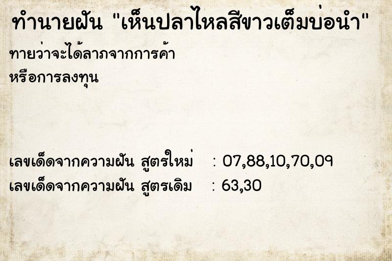 ทำนายฝันเห็นปลาไหลสีขาวเต็มบ่อนำ ทำนายฝันทำนายฝันเห็นปลาไหลสีขาวเต็มบ่อนำ