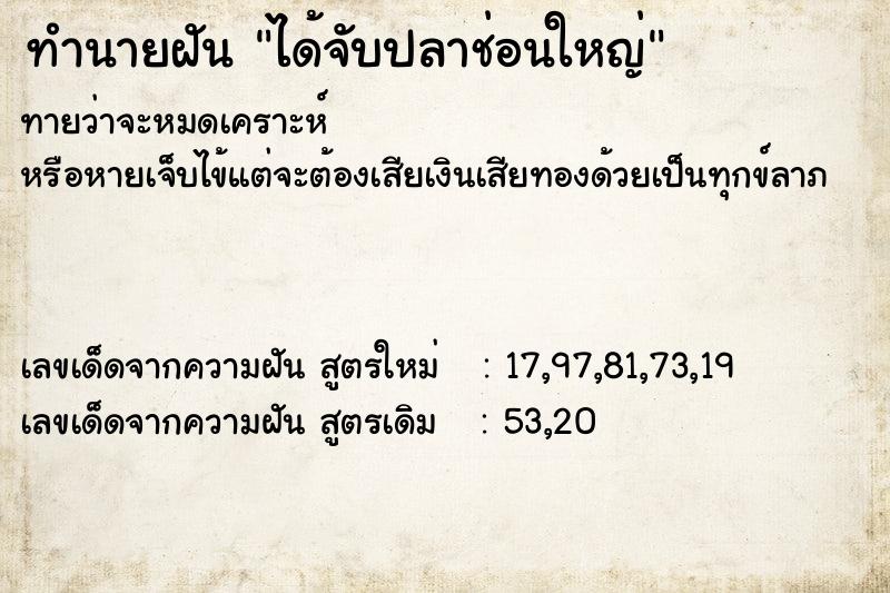 ทำนายฝันได้จับปลาช่อนใหญ่ ทำนายฝันทำนายฝันได้จับปลาช่อนใหญ่