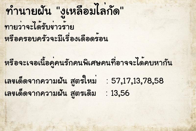 ทำนายฝันงูเหลือมไล่กัด ทำนายฝันทำนายฝันงูเหลือมไล่กัด