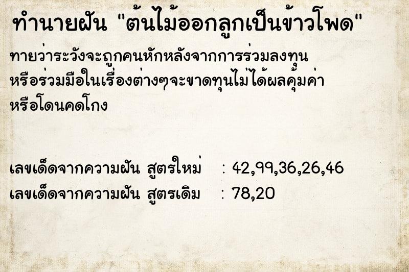 ทำนายฝัน ต้นไม้ออกลูกเป็นข้าวโพด ทำนายฝัน ต้นไม้ออกลูกเป็นข้าวโพด