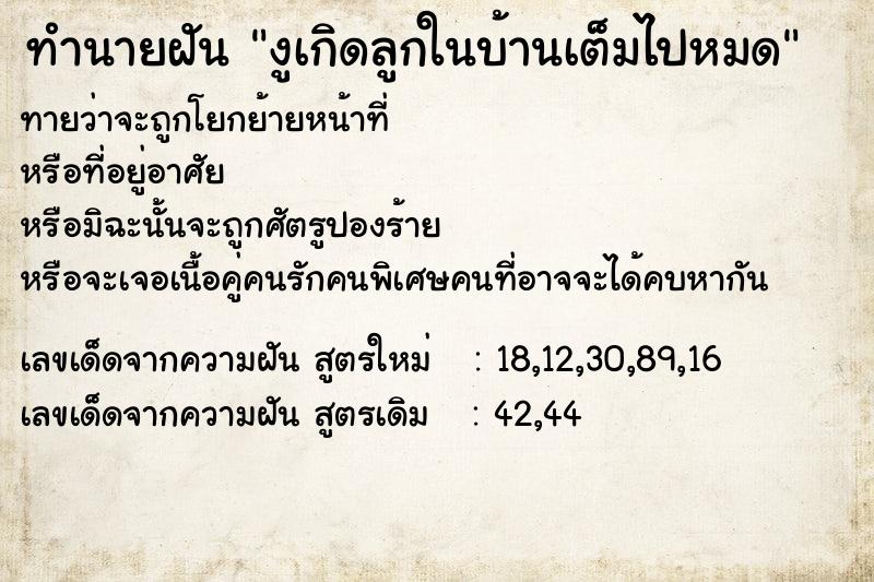 ทำนายฝันทำนายฝันงูเกิดลูกในบ้านเต็มไปหมด