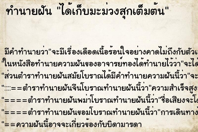 ทำนายฝัน ได้เก็บมะม่วงสุกเต็มต้น ทำนายฝัน ได้เก็บมะม่วงสุกเต็มต้น