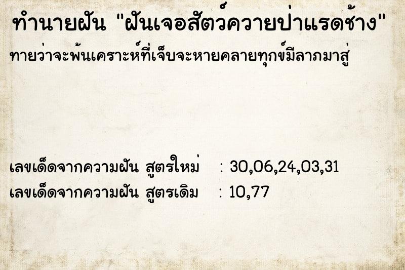 ทำนายฝันฝันเจอสัตว์ควายป่าแรดช้าง ทำนายฝันทำนายฝันฝันเจอสัตว์ควายป่าแรดช้าง