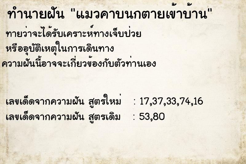 ทำนายฝันทำนายฝันแมวคาบนกตายเข้าบ้าน