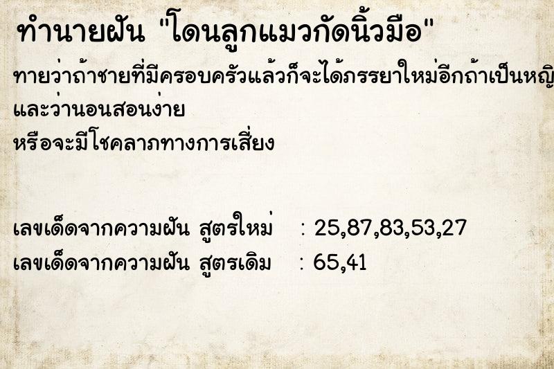 ทำนายฝัน โดนลูกแมวกัดนิ้วมือ ตำราโบราณ แม่นที่สุดในโลก