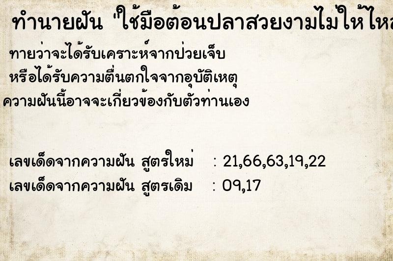 ทำนายฝันใช้มือต้อนปลาสวยงามไม่ให้ไหลลงท่อ ทำนายฝันทำนายฝันใช้มือต้อนปลาสวยงามไม่ให้ไหลลงท่อ