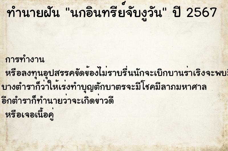 ทำนายฝัน นกอินทรีย์จับงูวัน