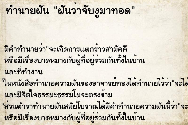 ทำนายฝัน ฝันว่าจับงูมาทอด ทำนายฝัน ฝันว่าจับงูมาทอด