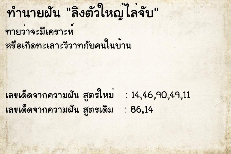 ทำนายฝันทำนายฝันลิงตัวใหญ่ไล่จับ