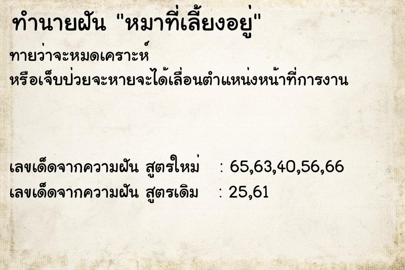 ทำนายฝันหมาที่เลี้ยงอยู่ ทำนายฝันทำนายฝันหมาที่เลี้ยงอยู่